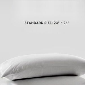 Silver Satin Pillowcase Silky Standard Size Single Light Gray Luxury 1 pc